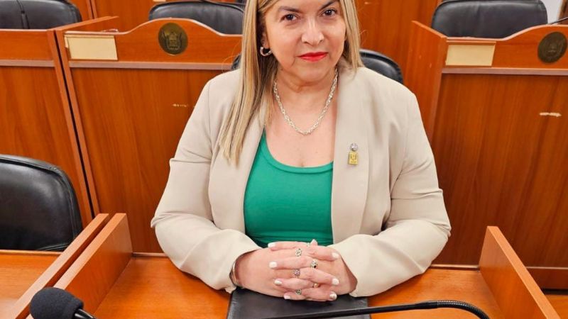 Gómez denunció amenazas y apuntó contra el presidente del radicalismo provincial