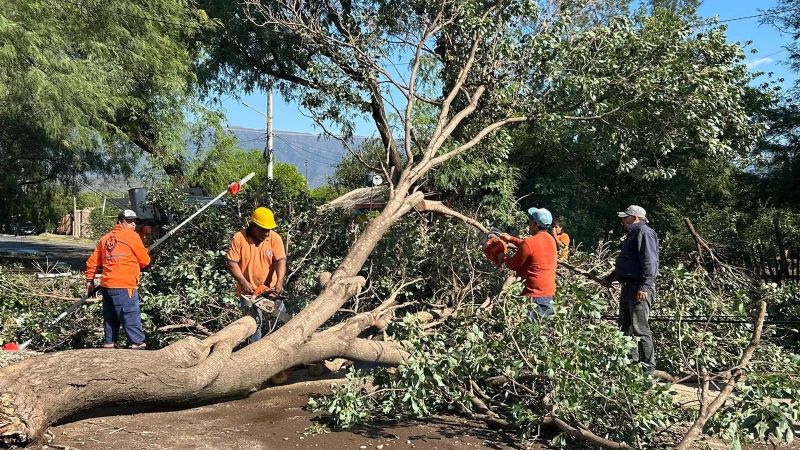 Intensas tareas tras el temporal en Valle Viejo