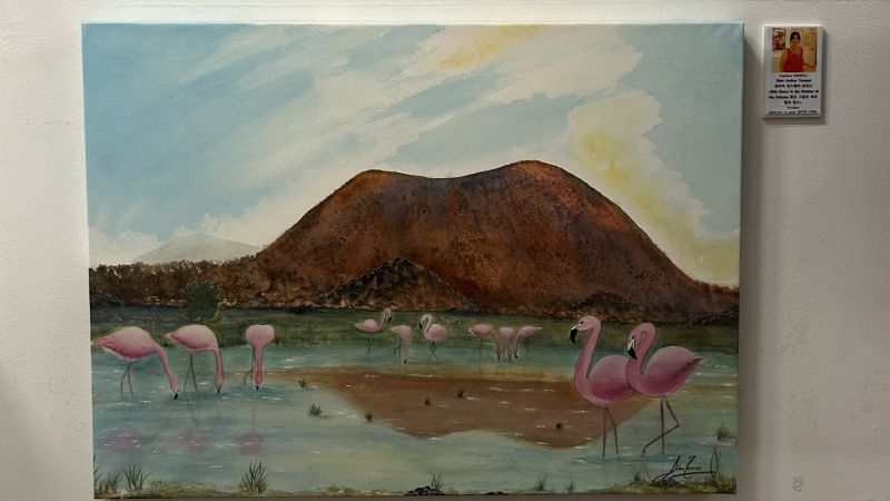 Gran cierre del 2024 para Silvia Tomassi: llevando en su arte las imágenes de Antofagasta de la Sierra a Corea del Sur