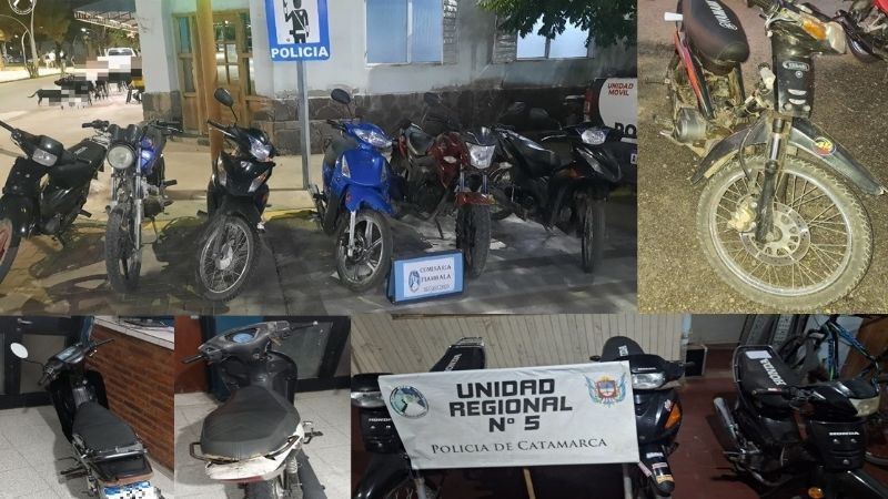 Numerosos detenidos por diversos delitos