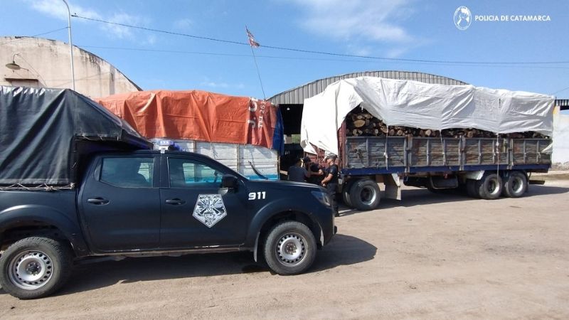 Secuestraron 29 toneladas de leña