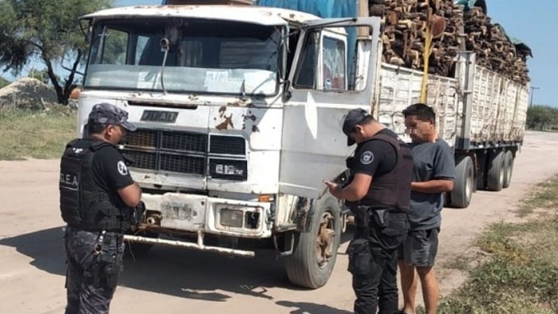 Secuestraron 29 toneladas de leña