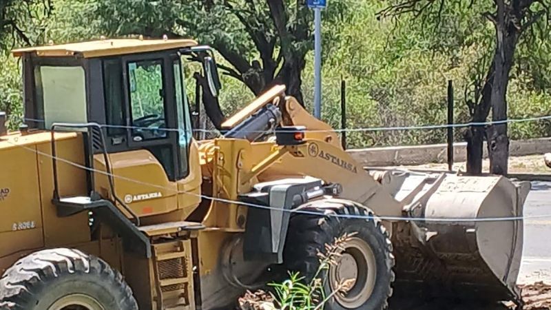 Vecino denuncia tala de árboles en Ruta 1 por parte de Vialidad