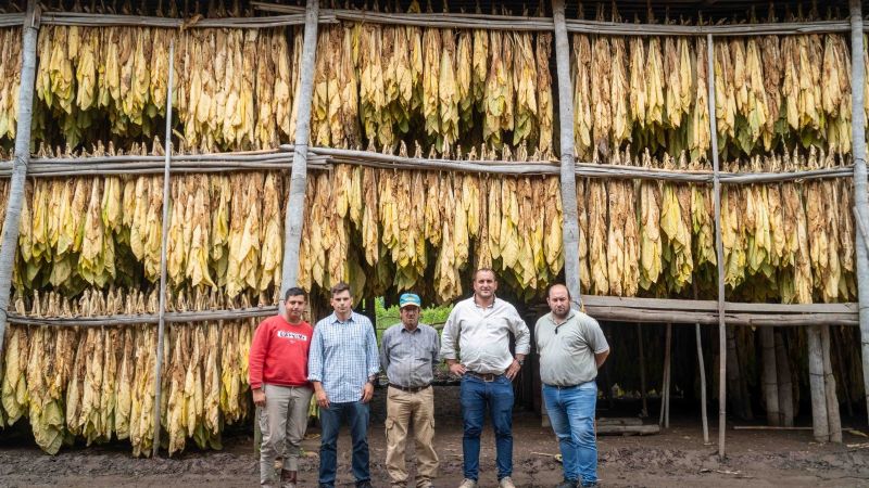 Catamarca: impulsan el acopio del tabaco para la Campaña 2023-2024