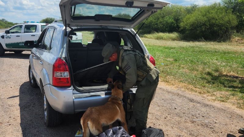 Video: viajaban con 169 kilos de marihuana ocultos en su automóvil