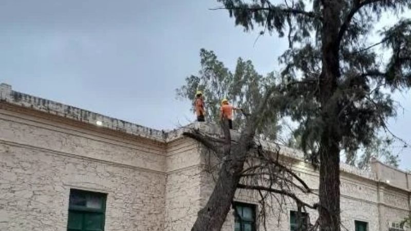 El viento causó daños en la Casa de la Cultura FME