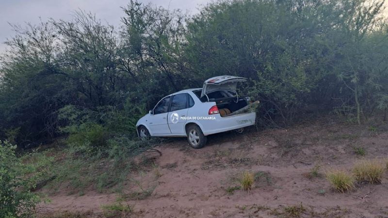 Murió un automovilista al embestir a un caballo