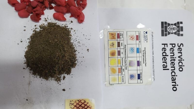 El SPF secuestró cocaína, marihuana y metanfetaminas en los penales de Marcos Paz y Salta