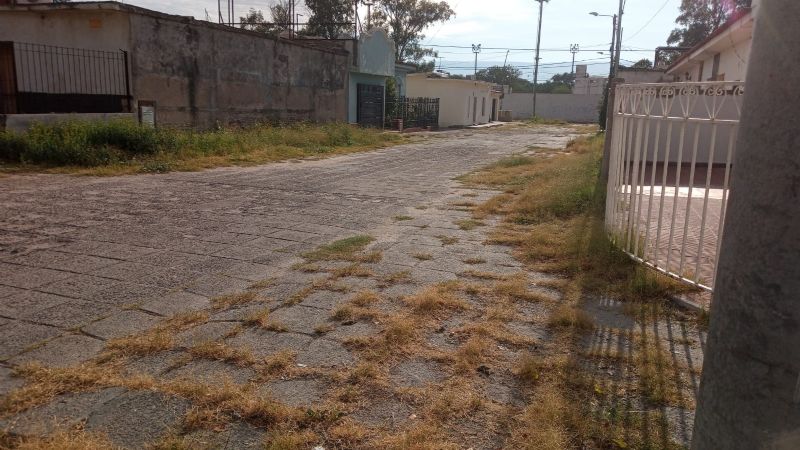 Reclamo del barrio Antinaco por las malezas y la suciedad