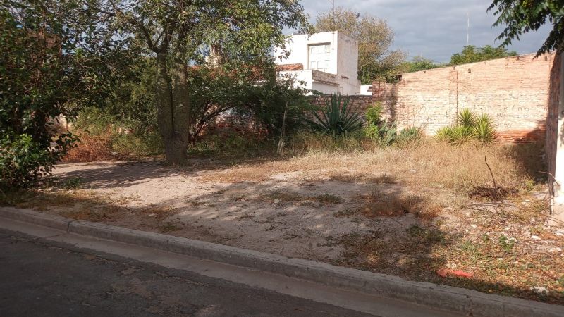 Reclamo del barrio Antinaco por las malezas y la suciedad