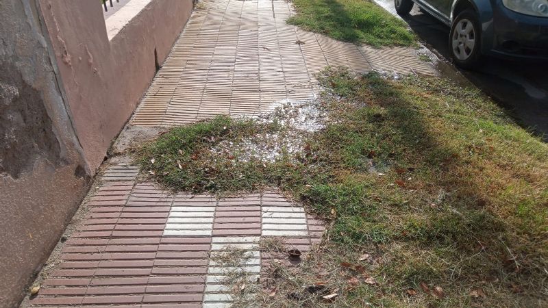Reclamo del barrio Antinaco por las malezas y la suciedad
