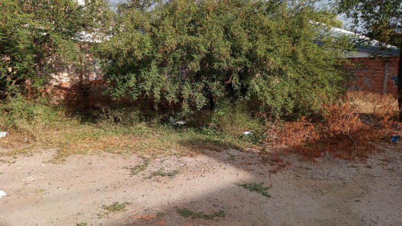 Reclamo del barrio Antinaco por las malezas y la suciedad