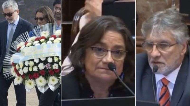 Senadores de UP repudiaron la visita de Cameron a Malvinas