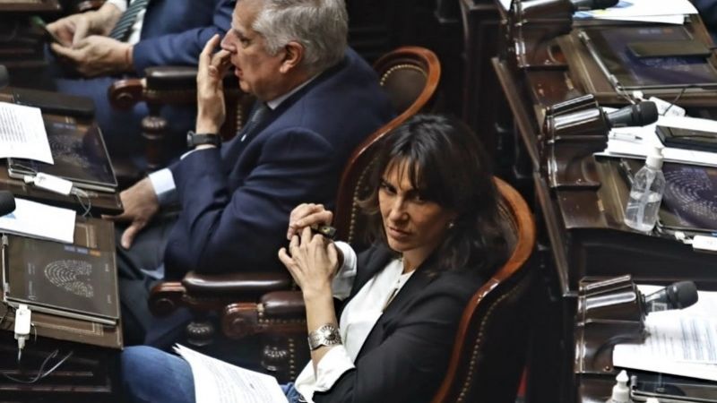 Manes votó contra la ley ómnibus y fue aplaudido por peronistas