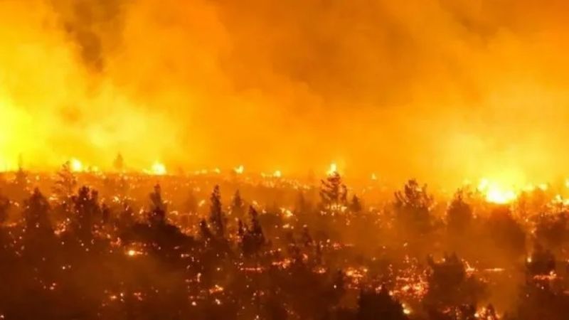 112 muertos en Chile por incendios forestales