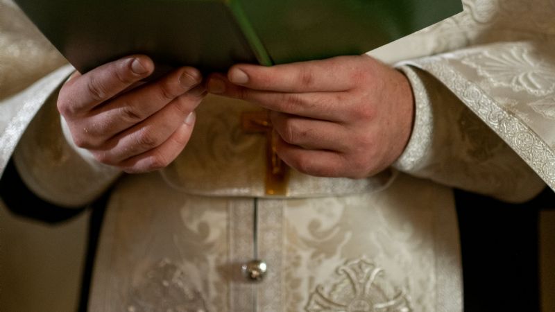 Palestra se prepara para la Escuela de Verano