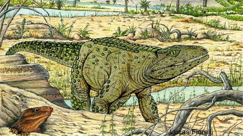 Encuentran en La Rioja restos de una nueva especie precursora de los mamíferos