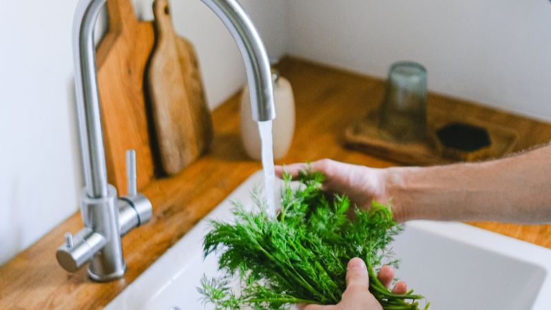 Calor y malos hábitos: factores de riesgo para el Síndrome Urémico Hemolítico