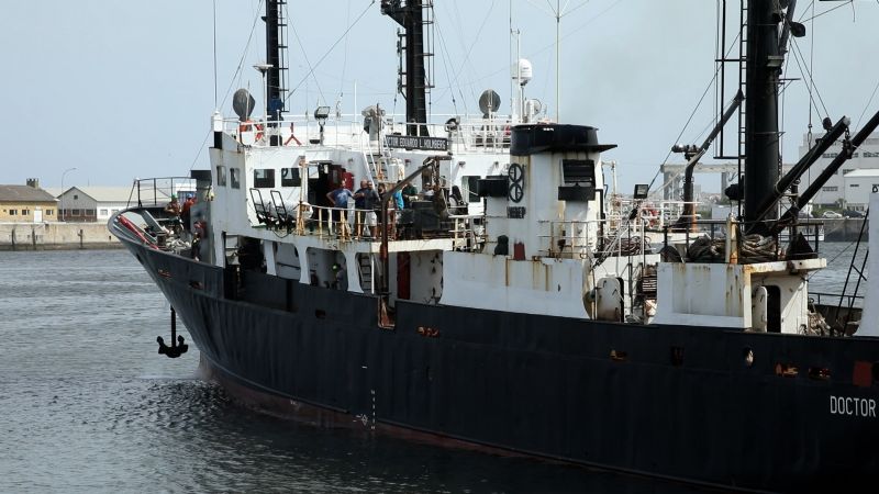 INIDEP evalúa el stock sudpatagónico de calamar argentino