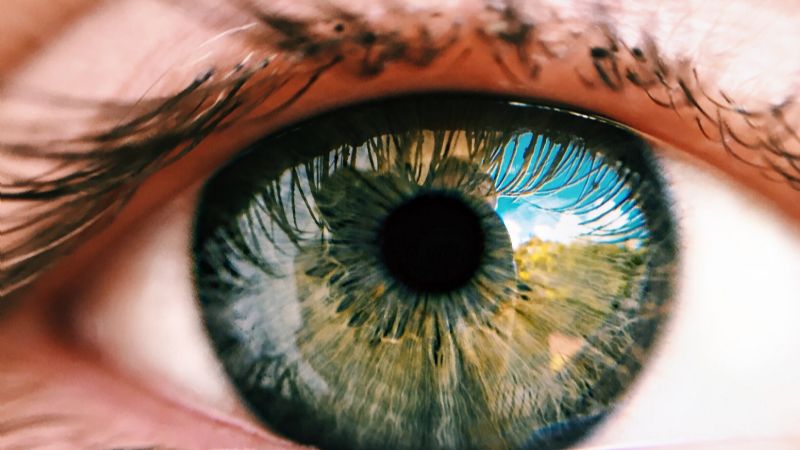 ¿Cuáles son las infecciones oculares más frecuentes y qué debemos saber?