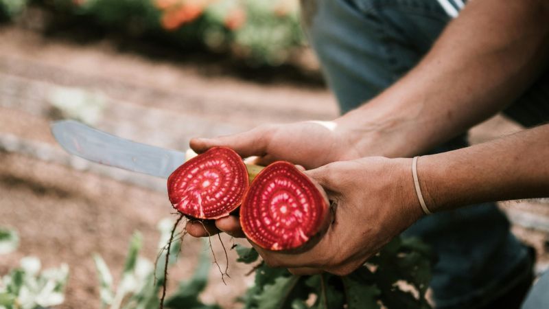 Los precios de los agroalimentos se multiplicaron por 3,4 veces en febrero