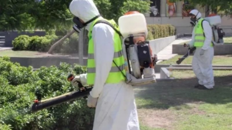 Doble epidemia de dengue: dos variantes coexisten