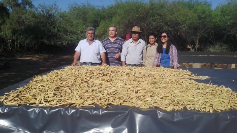 Formosa: El Potrillo logró una producción de 2.300 kilos de harina de algarroba