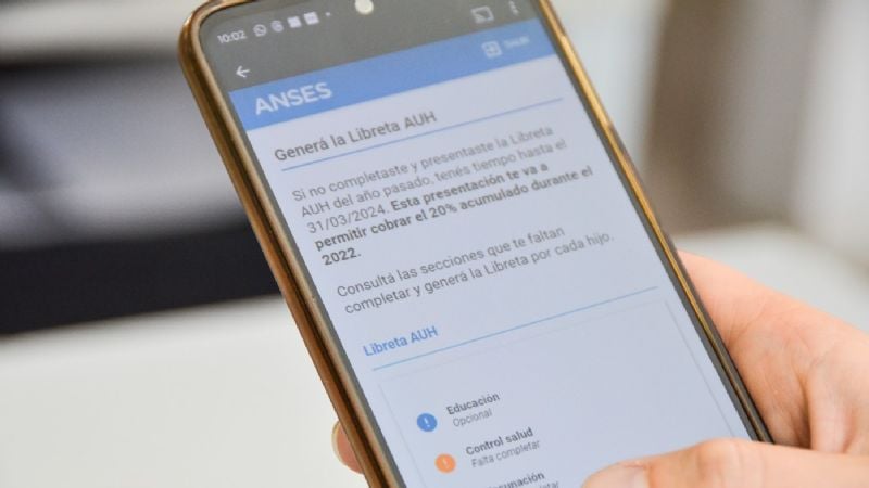 AUH y Tarjeta Alimentar en abril 2026: cuánto dinero reciben las familias