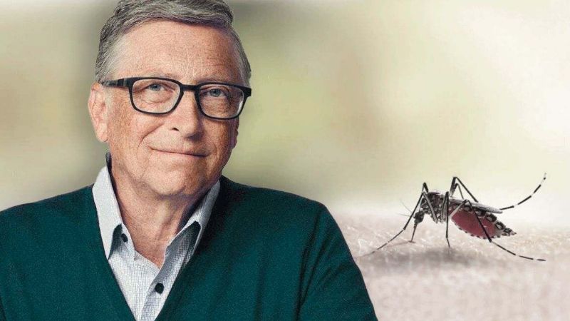 Todos los secretos de la “Fábrica de Mosquitos” contra el dengue