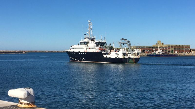 INIDEP evalúa la biomasa de vieira patagónica en la Unidad de Manejo B