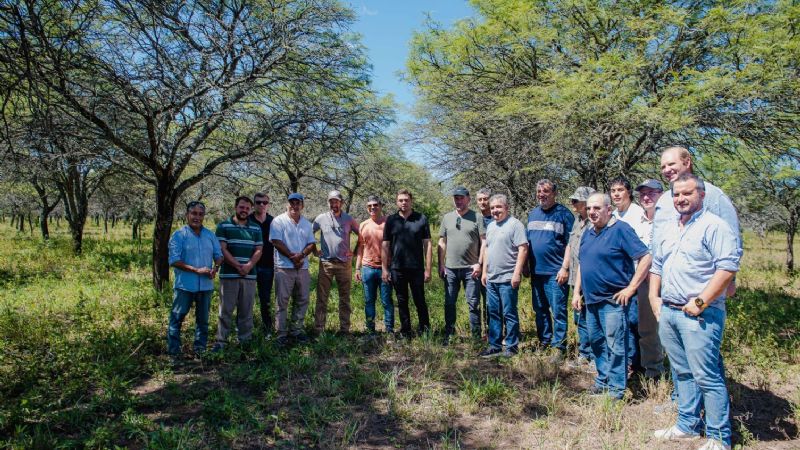El Gobierno evalúa áreas de potencial medición de emisiones de carbono en Santa Rosa