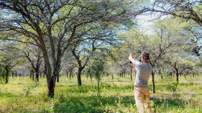 El Gobierno evalúa áreas de potencial medición de emisiones de carbono en Santa Rosa