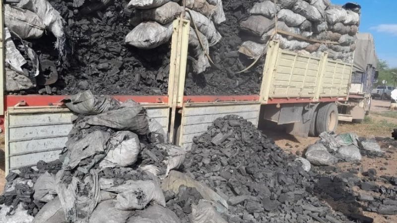 Descubren a catamarqueño que transportaba carbón a granel