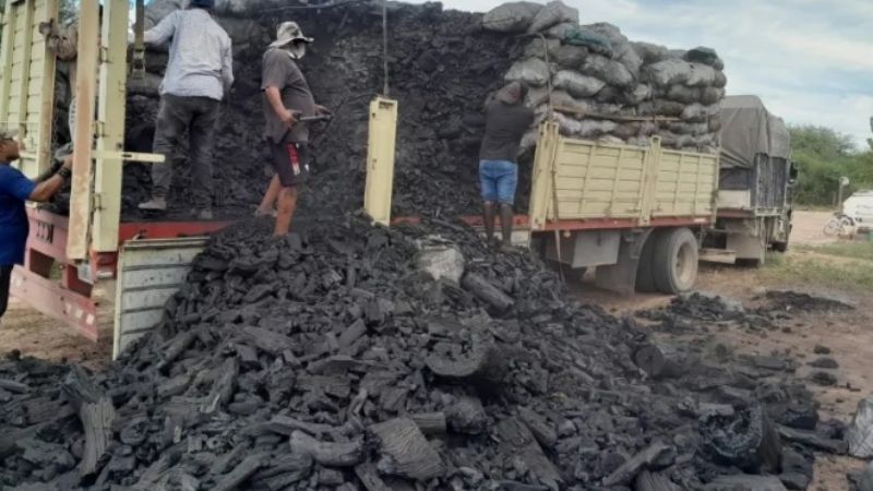 Descubren a catamarqueño que transportaba carbón a granel