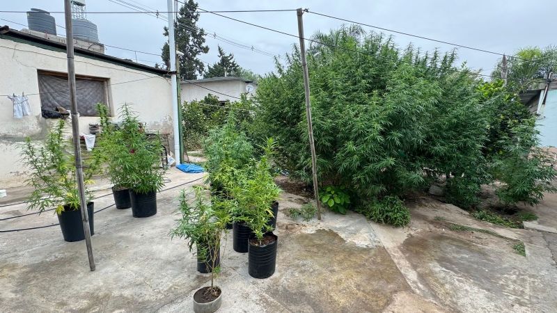 Catamarca: tres personas quedaron detenidas tras allanamientos