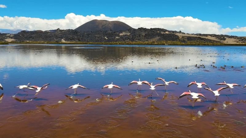 100% de ocupación el fin de semana XXL, en Antofagasta