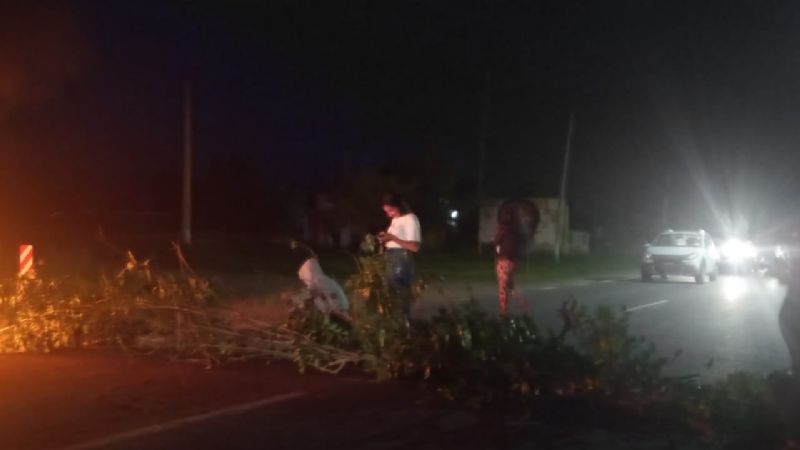 Militantes libertarios cortaron ruta en Los Altos