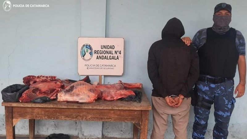 Robó una mula, la faenó y fue detenido