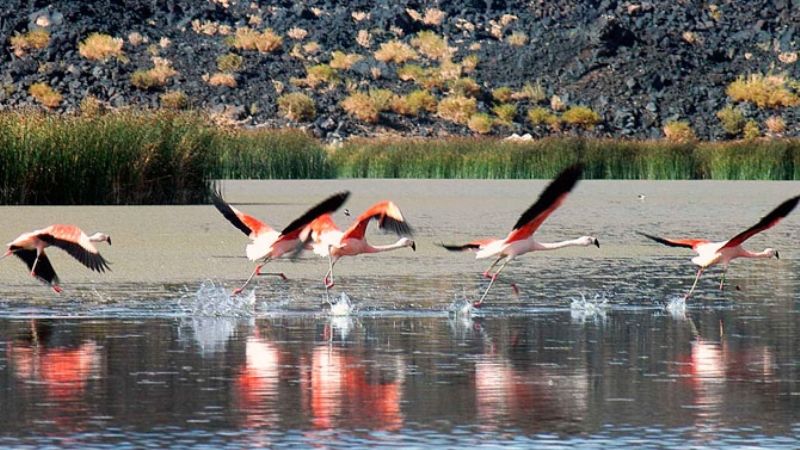Apoyo a Laguna Blanca como “mejor pueblo turístico del mundo”
