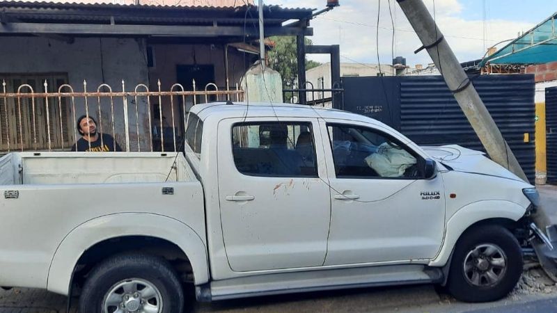 Conducía con sus perros en brazos y se estrelló contra un poste