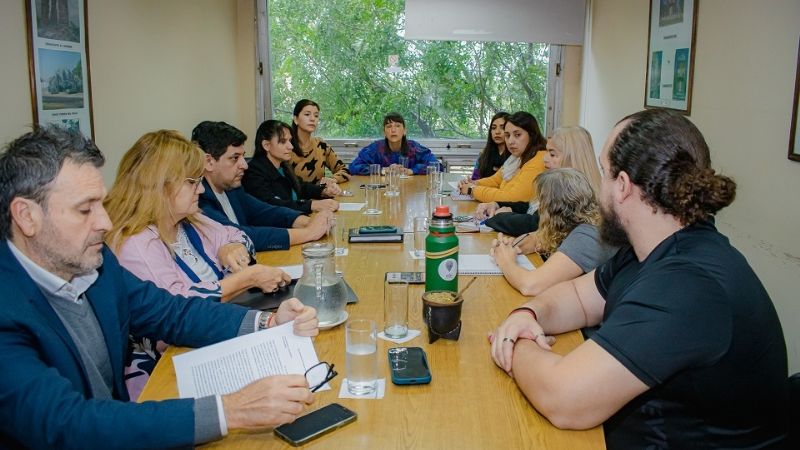 Diputados recibió a profesionales desafectadas del Plan ENIA