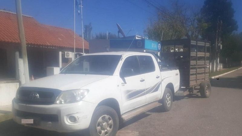 Cuatro apresados por el robo de animales