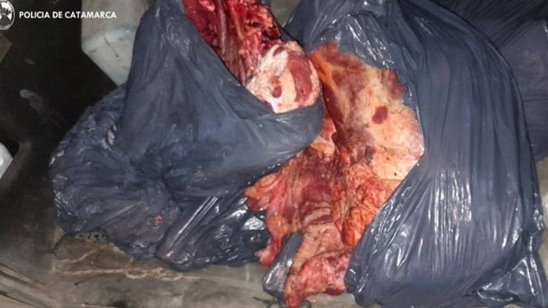 Incautan un arma de fuego, carne vacuna, cubiertas y prendas de vestir