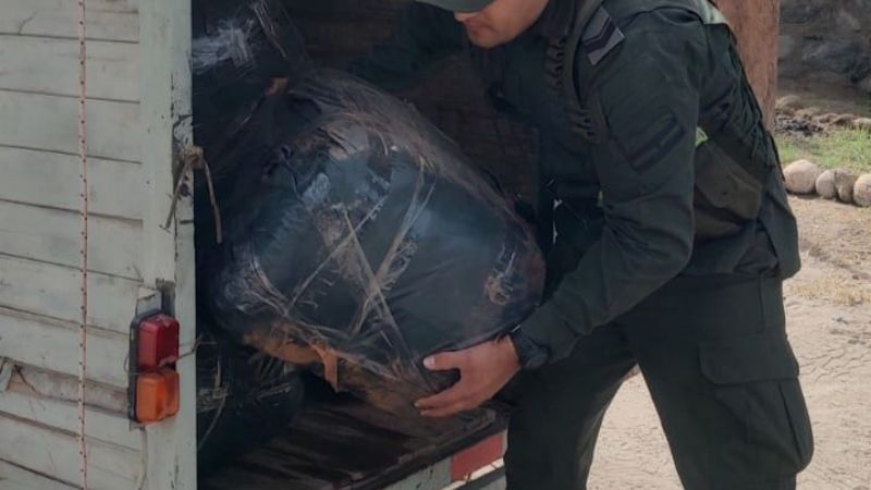 Gendarmería Nacional decomisó más de 308 kilos de hojas de coca