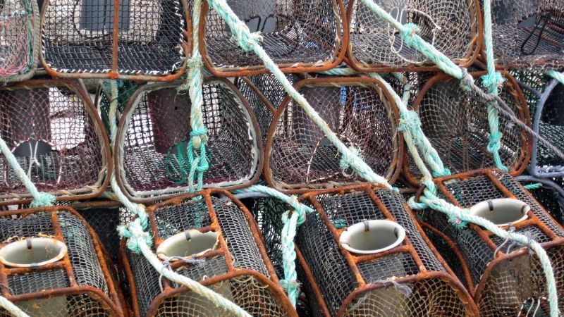 Curso de diseño y construcción de trampas para la pesca artesanal