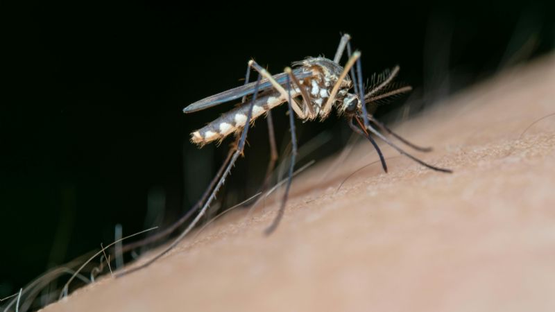 Dengue: rociado espacial en zona centro