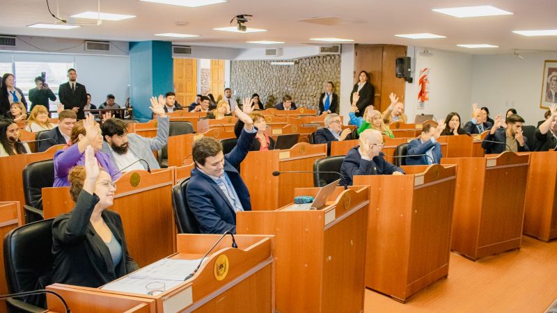 Media sanción para la profesionalización de la seguridad pública en la provincia