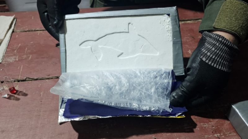 "Delfín Pescado": Gendarmería Nacional secuestro cocaína del cártel del "patrón del norte"