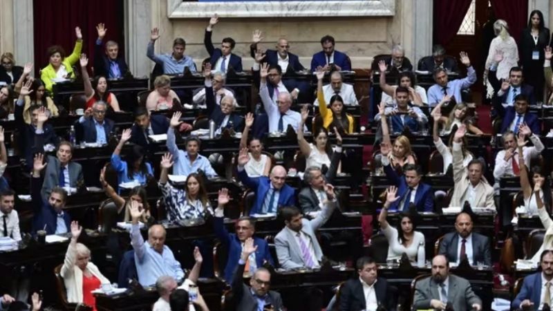 Ley Bases: el Gobierno logró la aprobación en general