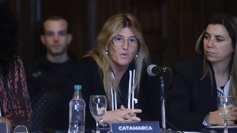 Salud participó del Consejo Federal de Drogas